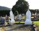 Photo of headstones/thumb_Alexander McLennan d1883 & mthr hdstn Kauri Pres Chyd